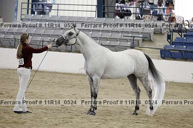 Proof 11r14_0524
