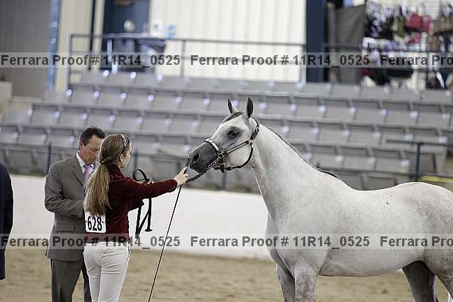 Proof 11r14_0525