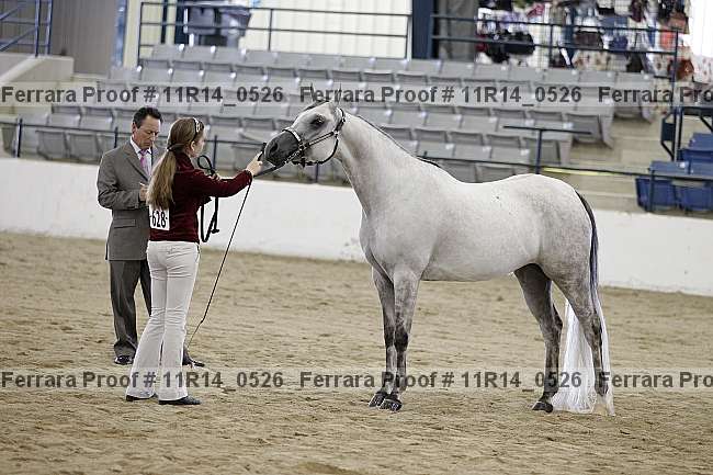 Proof 11r14_0526