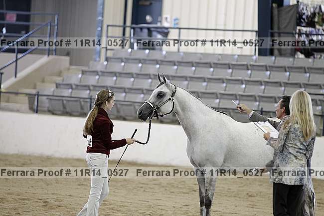 Proof 11r14_0527