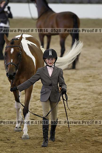 Proof 11r14_0528