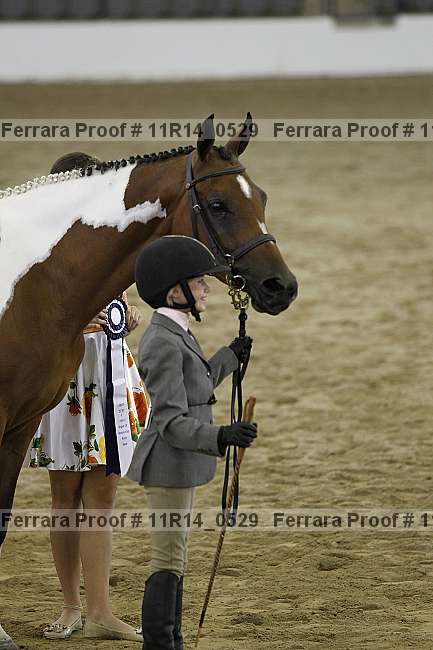 Proof 11r14_0529