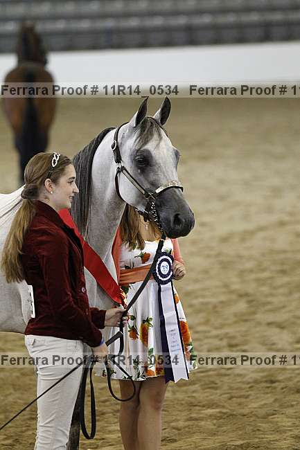 Proof 11r14_0534