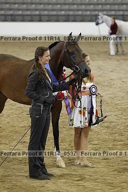 Proof 11r14_0537