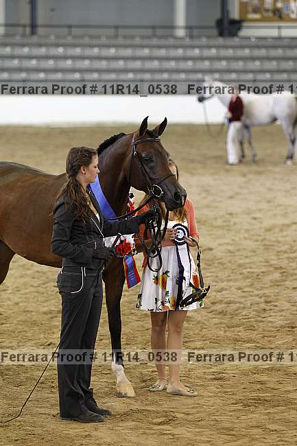 Proof 11r14_0538