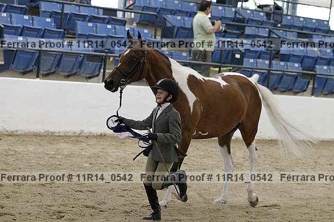 Proof 11r14_0542