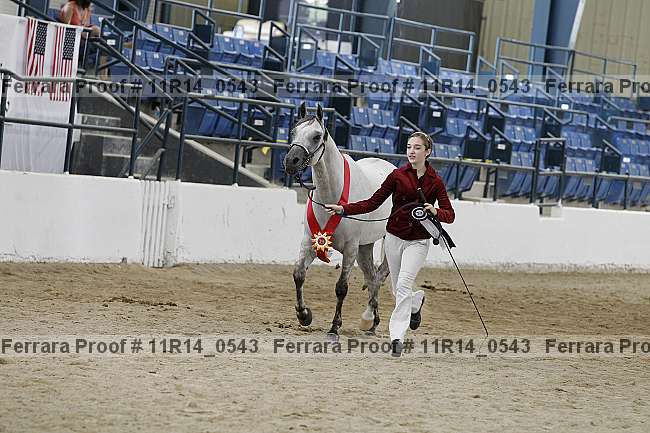 Proof 11r14_0543