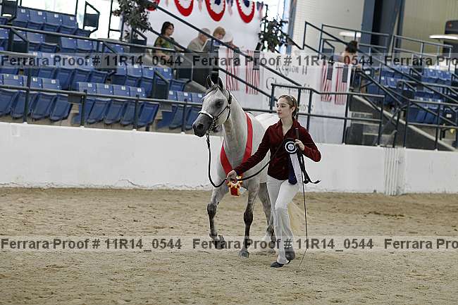Proof 11r14_0544