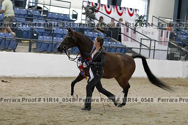Proof 11r14_0548