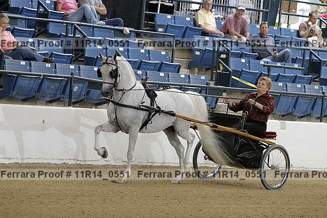 Proof 11r14_0551