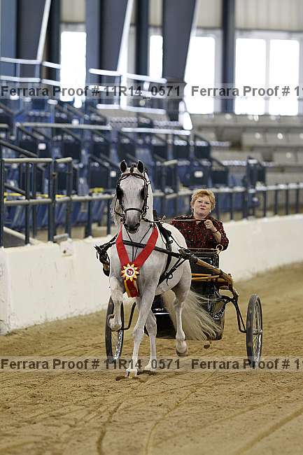 Proof 11r14_0571