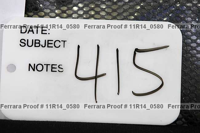 Proof 11r14_0580