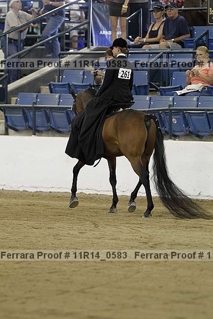 Proof 11r14_0583