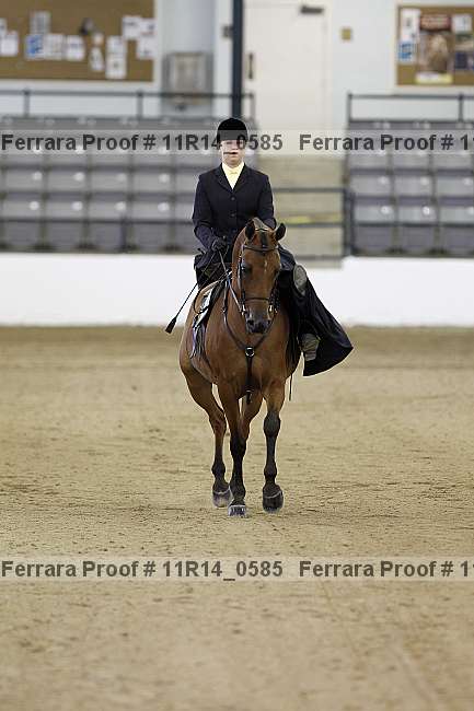 Proof 11r14_0585