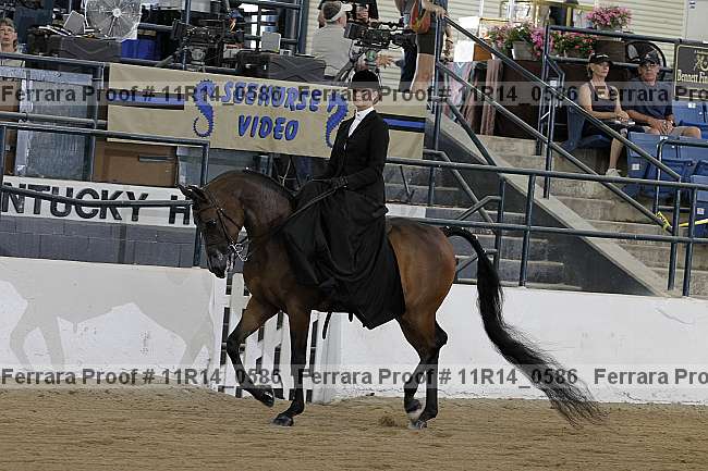 Proof 11r14_0586