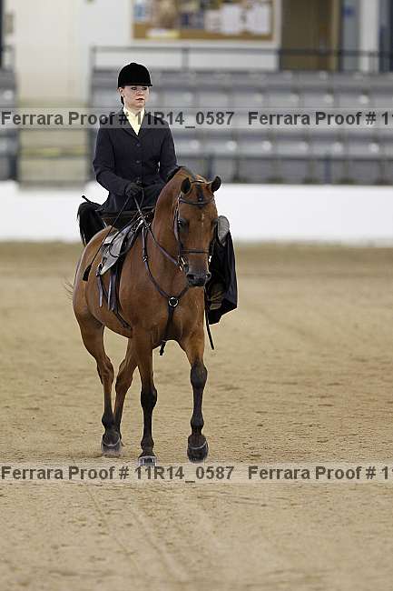 Proof 11r14_0587