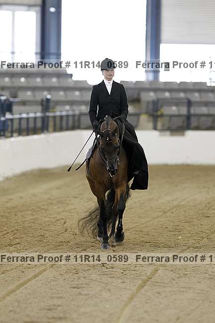 Proof 11r14_0589