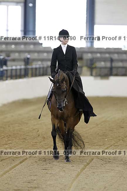 Proof 11r14_0590