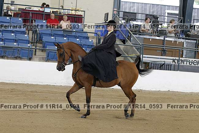 Proof 11r14_0593