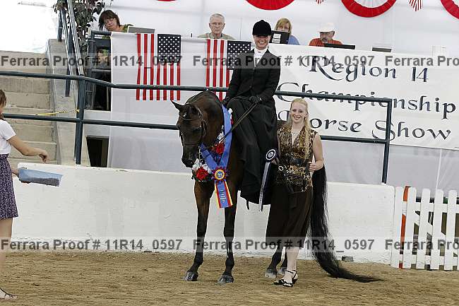 Proof 11r14_0597