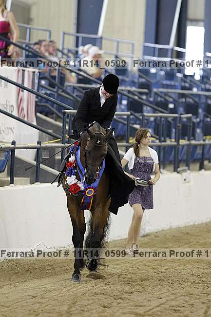 Proof 11r14_0599
