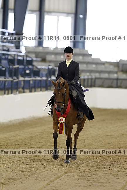 Proof 11r14_0601