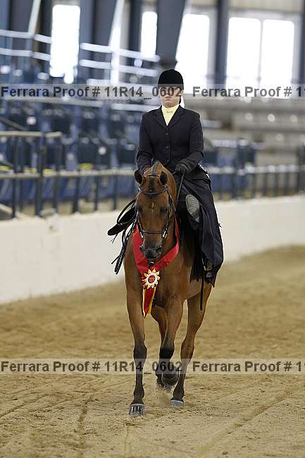 Proof 11r14_0602