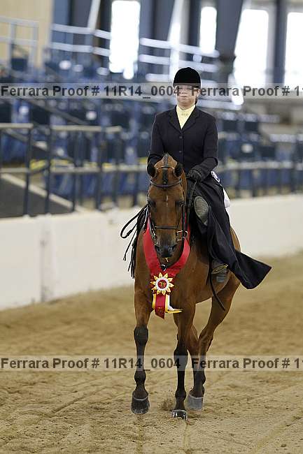 Proof 11r14_0604