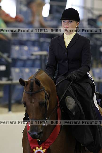 Proof 11r14_0606