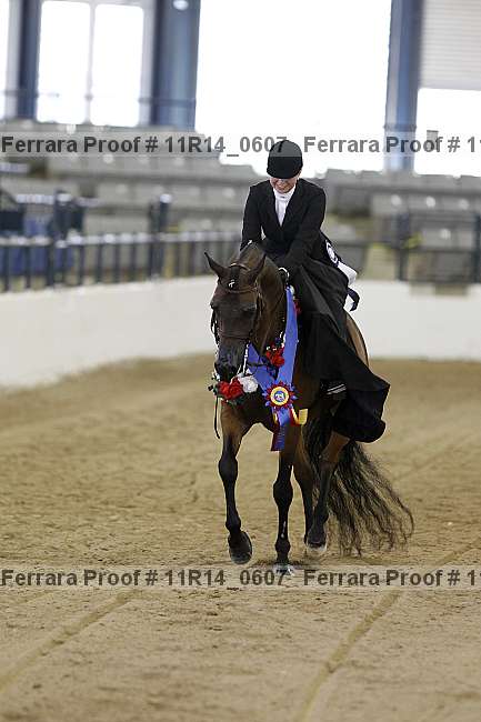 Proof 11r14_0607