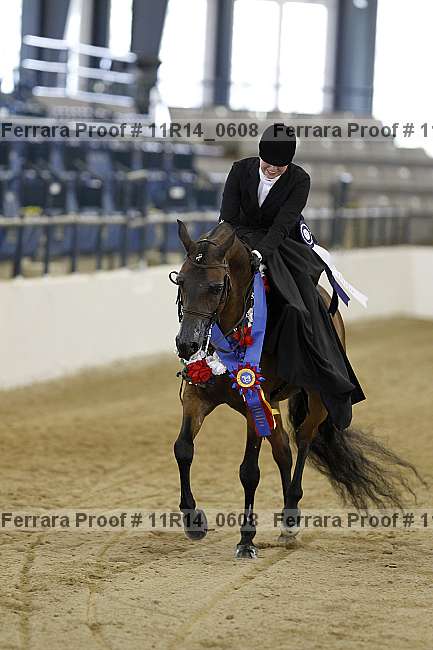 Proof 11r14_0608