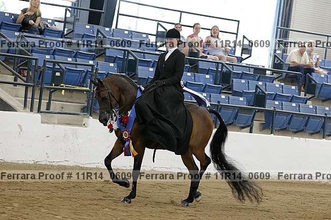 Proof 11r14_0609