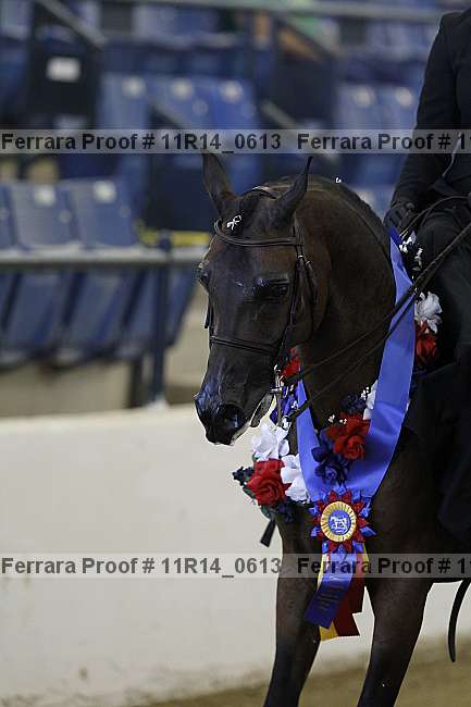Proof 11r14_0613