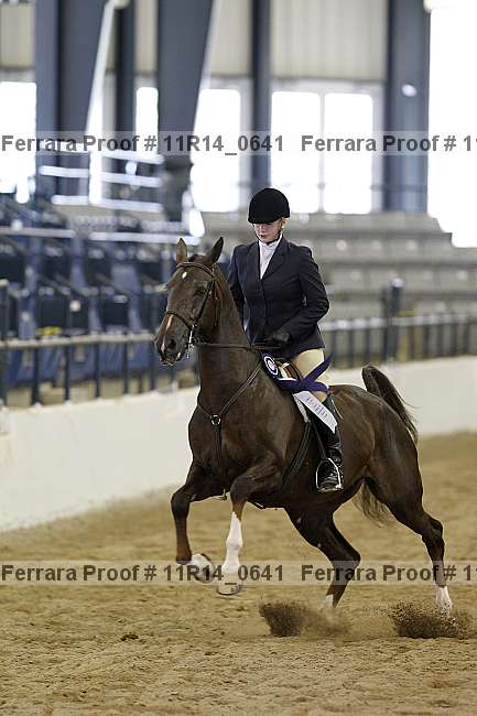 Proof 11r14_0641
