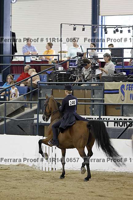 Proof 11r14_0657