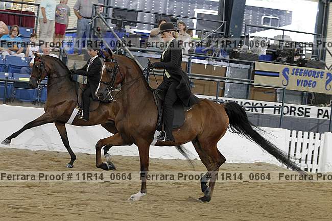 Proof 11r14_0664
