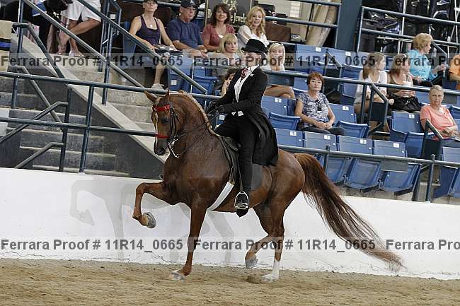 Proof 11r14_0665