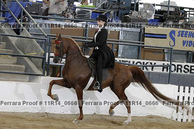 Proof 11r14_0666