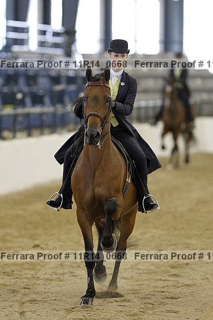 Proof 11r14_0668