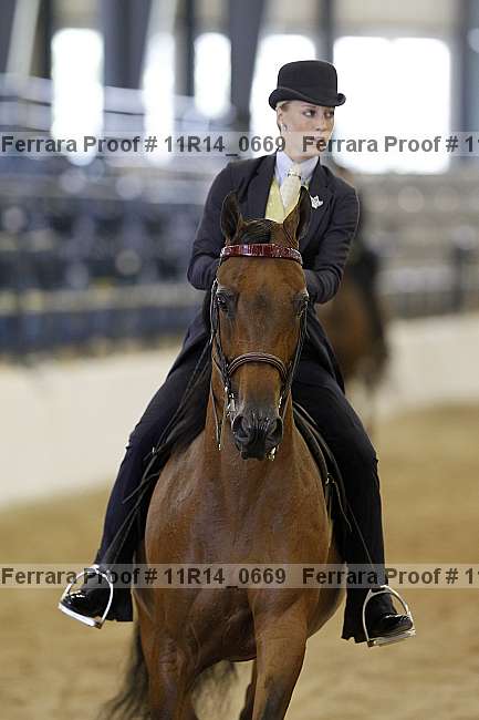 Proof 11r14_0669