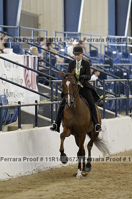 Proof 11r14_0672