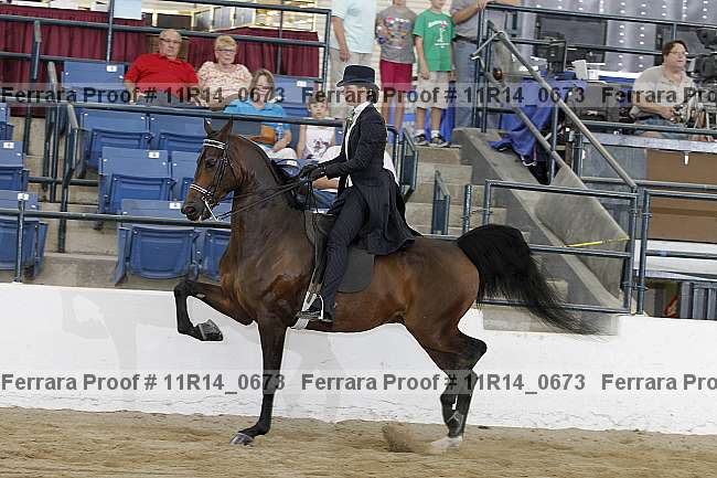 Proof 11r14_0673