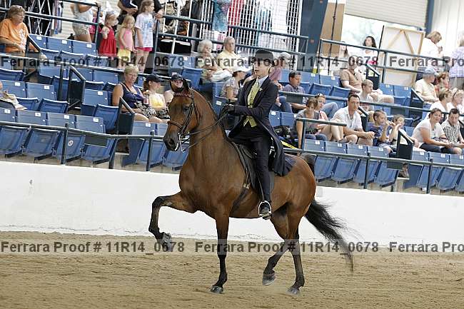 Proof 11r14_0678