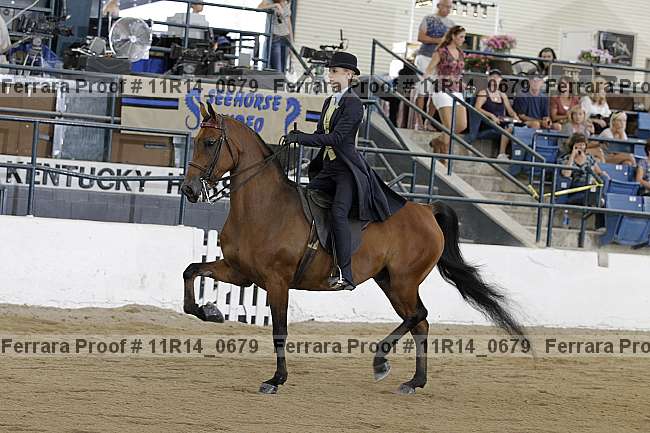 Proof 11r14_0679