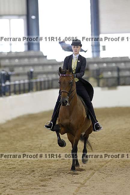 Proof 11r14_0685