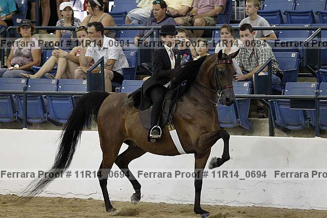 Proof 11r14_0694
