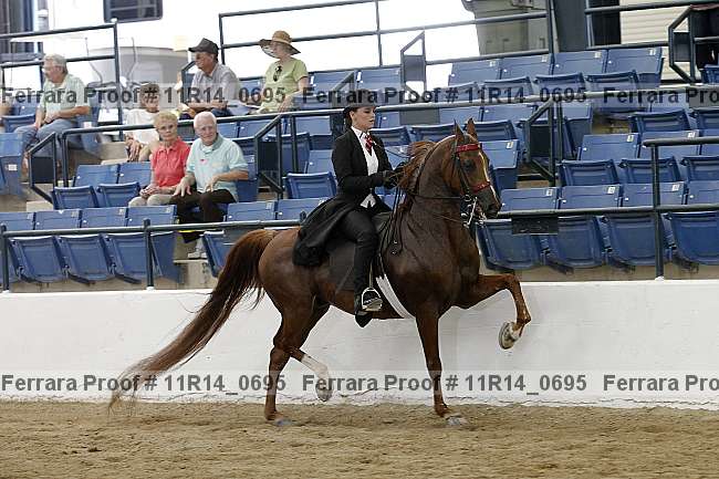 Proof 11r14_0695