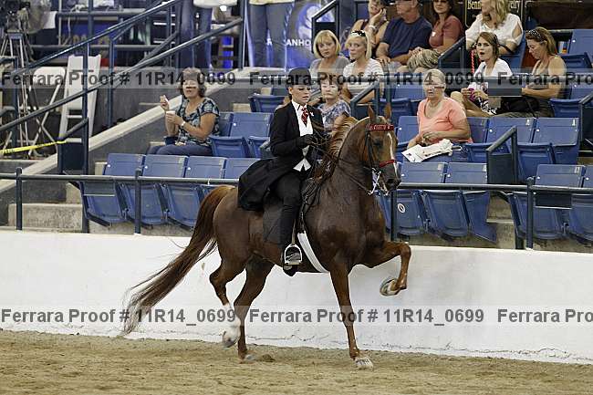 Proof 11r14_0699