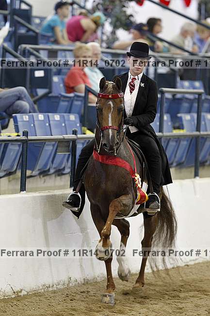 Proof 11r14_0702