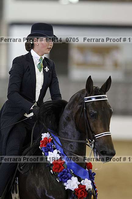 Proof 11r14_0705